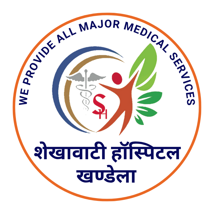 shekhawati-site-icon